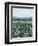 April Flowerfield II-Grace Popp-Framed Premium Giclee Print