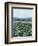 April Flowerfield II-Grace Popp-Framed Premium Giclee Print