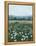 April Flowerfield II-Grace Popp-Framed Stretched Canvas