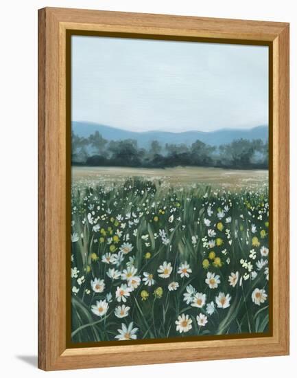 April Flowerfield II-Grace Popp-Framed Stretched Canvas