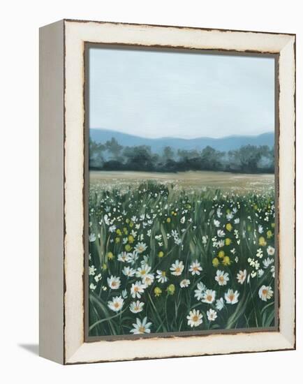 April Flowerfield II-Grace Popp-Framed Stretched Canvas