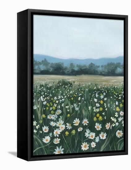 April Flowerfield II-Grace Popp-Framed Stretched Canvas