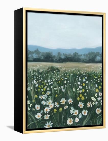 April Flowerfield II-Grace Popp-Framed Stretched Canvas