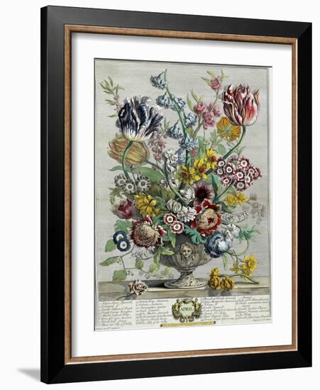 April, from 'Twelve Months of Flowers', 1730-Pieter Casteels-Framed Giclee Print