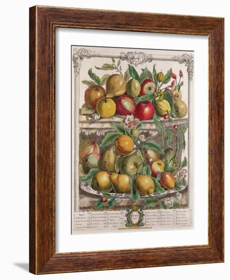 April, from 'Twelve Months of Fruits', by Robert Furber-Pieter Casteels-Framed Giclee Print