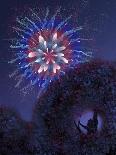 Viewing Fireworks-April Hartmann-Giclee Print