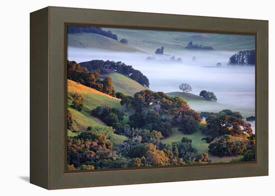 April Morning in the Petaluma Hills, Sonoma County, Northern California-Vincent James-Framed Premier Image Canvas