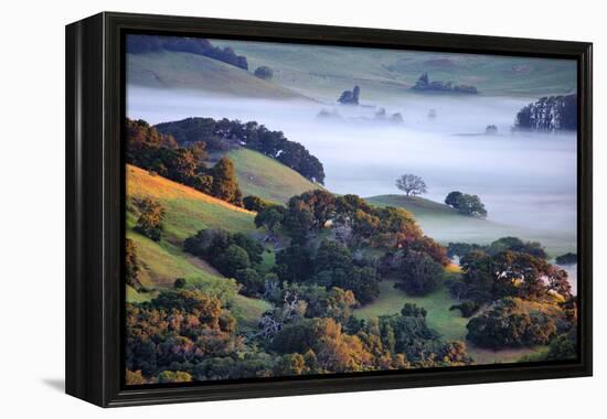 April Morning in the Petaluma Hills, Sonoma County, Northern California-Vincent James-Framed Premier Image Canvas