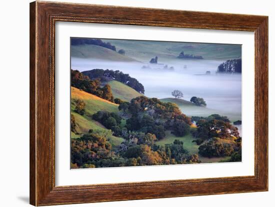 April Morning in the Petaluma Hills, Sonoma County, Northern California-Vincent James-Framed Photographic Print