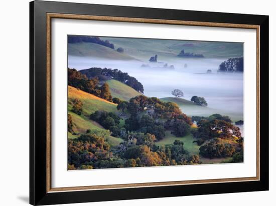 April Morning in the Petaluma Hills, Sonoma County, Northern California-Vincent James-Framed Photographic Print