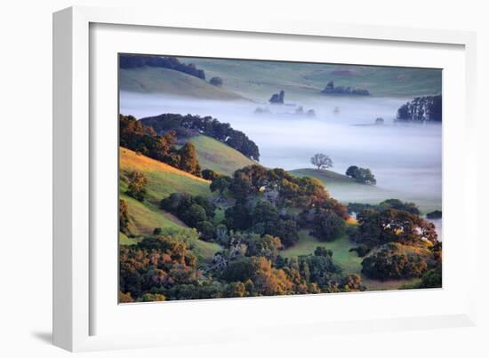 April Morning in the Petaluma Hills, Sonoma County, Northern California-Vincent James-Framed Photographic Print