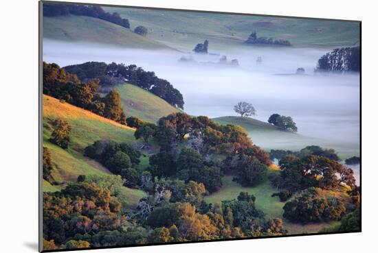 April Morning in the Petaluma Hills, Sonoma County, Northern California-Vincent James-Mounted Photographic Print