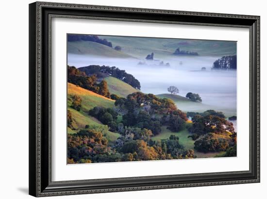 April Morning in the Petaluma Hills, Sonoma County, Northern California-Vincent James-Framed Photographic Print