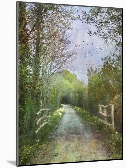 April on the Voie Verte-Dawne Polis-Mounted Art Print