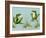 April Showers - Frogs with Grass-Peggy Harris-Framed Giclee Print