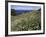 April Spring Flowers, Zingaro Nature Reserve, Northwest Area, Island of Sicily, Italy-Richard Ashworth-Framed Photographic Print