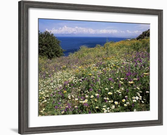 April Spring Flowers, Zingaro Nature Reserve, Northwest Area, Island of Sicily, Italy-Richard Ashworth-Framed Photographic Print