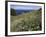 April Spring Flowers, Zingaro Nature Reserve, Northwest Area, Island of Sicily, Italy-Richard Ashworth-Framed Photographic Print