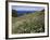 April Spring Flowers, Zingaro Nature Reserve, Northwest Area, Island of Sicily, Italy-Richard Ashworth-Framed Photographic Print