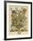 April-Robert Furber-Framed Giclee Print