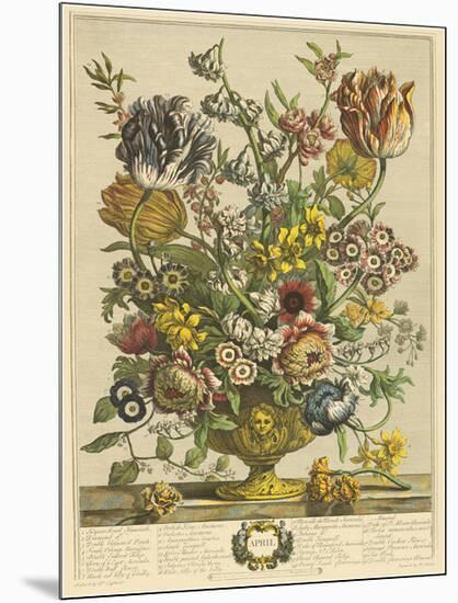 April-Robert Furber-Mounted Giclee Print