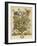 April-Robert Furber-Framed Art Print