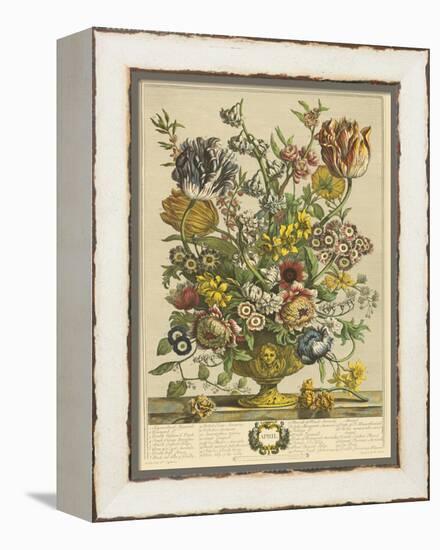 April-Robert Furber-Framed Stretched Canvas