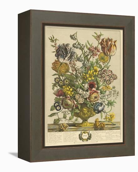 April-Robert Furber-Framed Stretched Canvas