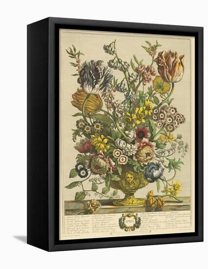 April-Robert Furber-Framed Stretched Canvas