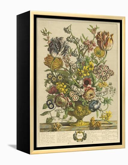 April-Robert Furber-Framed Stretched Canvas