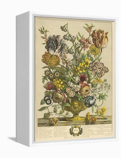 April-Robert Furber-Framed Stretched Canvas