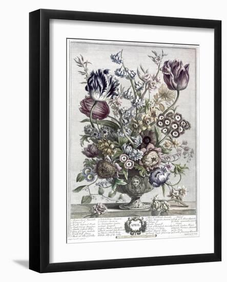 April-H. Fletcher-Framed Giclee Print