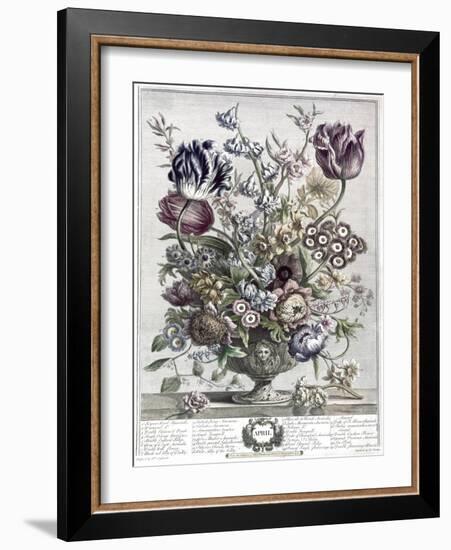 April-H. Fletcher-Framed Giclee Print