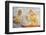 Apsara Frescoes-Matthew Williams-Ellis-Framed Photographic Print