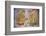 Apsara Frescoes-Matthew Williams-Ellis-Framed Premium Photographic Print