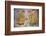 Apsara Frescoes-Matthew Williams-Ellis-Framed Photographic Print