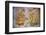 Apsara Frescoes-Matthew Williams-Ellis-Framed Photographic Print