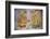 Apsara Frescoes-Matthew Williams-Ellis-Framed Photographic Print