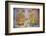 Apsara Frescoes-Matthew Williams-Ellis-Framed Photographic Print