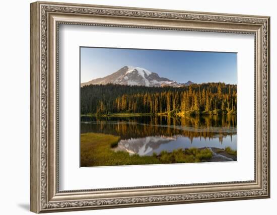 Aptly named Reflection Lake in Mount Rainier National Park, Washington State, USA-Chuck Haney-Framed Photographic Print