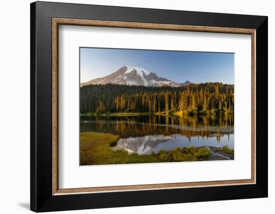 Aptly named Reflection Lake in Mount Rainier National Park, Washington State, USA-Chuck Haney-Framed Photographic Print