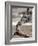 APTOPIX DEU Tiere Giraffenbaby-Kai-uwe Knoth-Framed Photographic Print