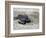 APTOPIX El Salvador Turtles Released-Luis Romero-Framed Photographic Print