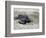 APTOPIX El Salvador Turtles Released-Luis Romero-Framed Photographic Print