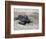 APTOPIX El Salvador Turtles Released-Luis Romero-Framed Photographic Print