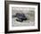 APTOPIX El Salvador Turtles Released-Luis Romero-Framed Photographic Print