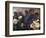 APTOPIX Guatemala Burial-Rodrigo Abd-Framed Photographic Print