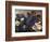 APTOPIX Guatemala Burial-Rodrigo Abd-Framed Photographic Print