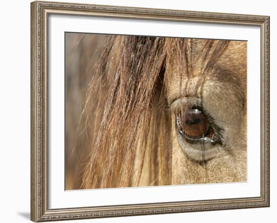 APTOPIX Mustangs Savior-Ann Heisenfelt-Framed Photographic Print