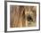 APTOPIX Mustangs Savior-Ann Heisenfelt-Framed Photographic Print